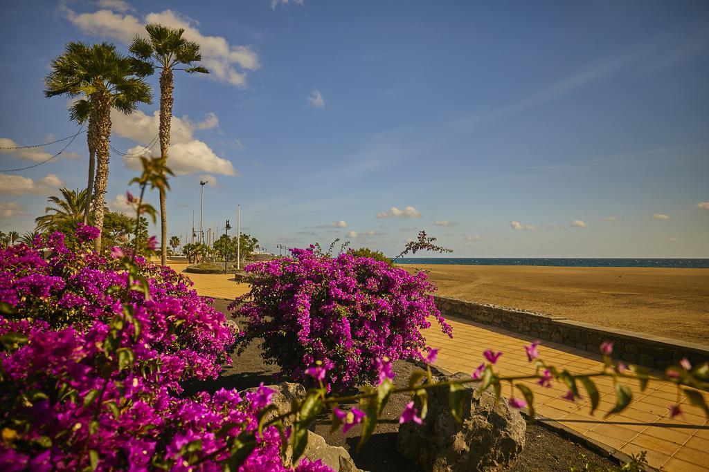 بويرتو ذيل كارمين Villa Palmeras Beach Puerto Del Carmen المظهر الخارجي الصورة